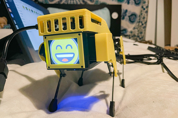 ロボット犬『Mini Pupper』(ミニぷぱ) レビュー　使ってわかった3つの楽しみ方　顔の変更、カメラの接続にも挑戦