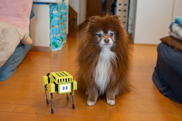 ロボット犬『Mini Pupper』(ミニぷぱ) レビュー　使ってわかった3つの楽しみ方　顔の変更、カメラの接続にも挑戦