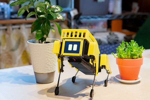 ロボット犬『Mini Pupper』(ミニぷぱ) レビュー　使ってわかった3つの楽しみ方　顔の変更、カメラの接続にも挑戦