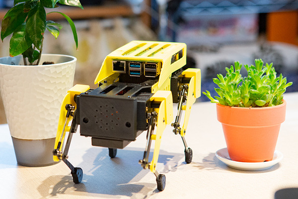 ロボット犬『Mini Pupper』(ミニぷぱ) レビュー　使ってわかった3つの楽しみ方　顔の変更、カメラの接続にも挑戦