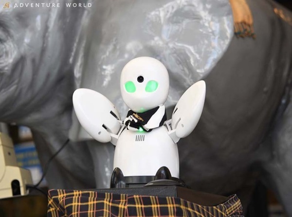 アドベンチャーワールドが分身ロボット「OriHimeガイド」の本格導入を発表　障がいや難病などの外出困難者に働く機会を提供