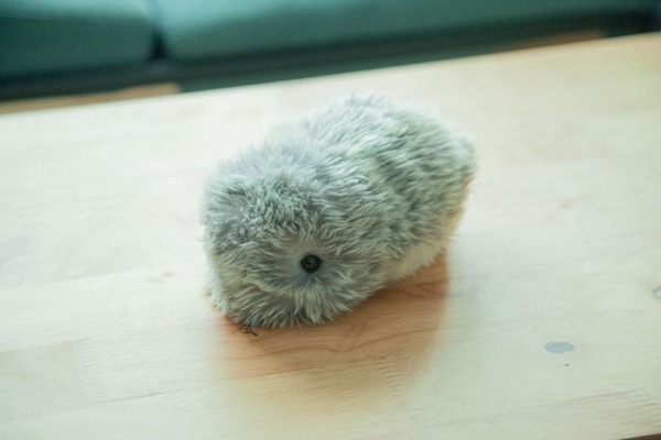 日本発のAIペット型ロボット「Moflin」(もふりん) 蔦屋家電＋で展示開始 スキンシップで変化する最先端のペット型ロボット