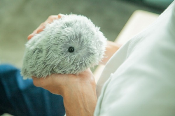 日本発のAIペット型ロボット「Moflin」(もふりん) 蔦屋家電＋で展示開始 スキンシップで変化する最先端のペット型ロボット