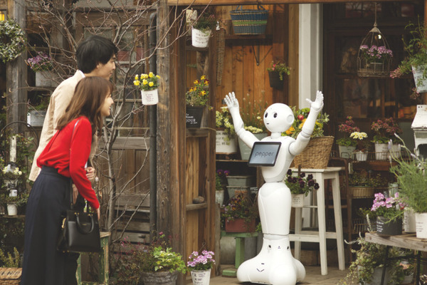 Pepperの集客・接客向け提供プランがリニューアル　契約期間を1年間に短縮　1か月単位で利用できるスポットプランも登場