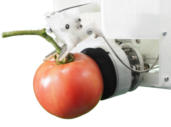 ヤンマー「大玉トマト収穫ロボット」の試作機を出展 独自開発の吸着切断ハンドで収穫を実現「2022国際ロボット展」