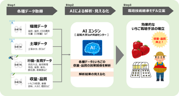 NTT西日本など、高知県佐川町のいちご栽培でAIを活用した実証実験　スマート農業とデータ解析で収穫量の増加と品質向上を目指す