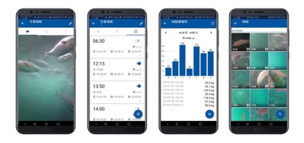 AI搭載のスマート給餌機で生育した「AI桜鯛」全国の「くら寿司」で販売 真鯛の委託養殖事業を本格始動