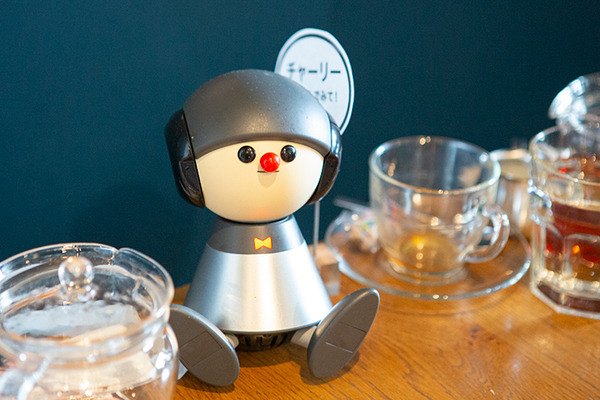 渋谷「PARK+」にLOVOT 約40体が集まる、閉店を惜しむ声　パートナーロボットがヒトと共に暮らす社会を提案