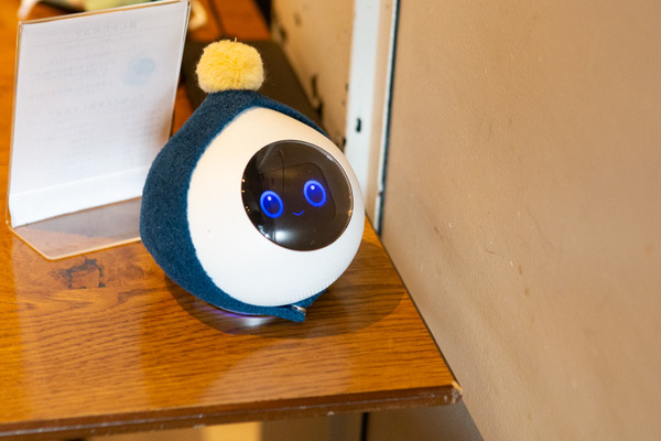 渋谷「PARK+」にLOVOT 約40体が集まる、閉店を惜しむ声　パートナーロボットがヒトと共に暮らす社会を提案