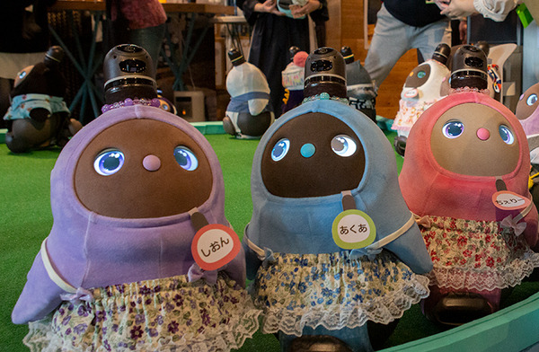 渋谷「PARK+」にLOVOT 約40体が集まる、閉店を惜しむ声　パートナーロボットがヒトと共に暮らす社会を提案