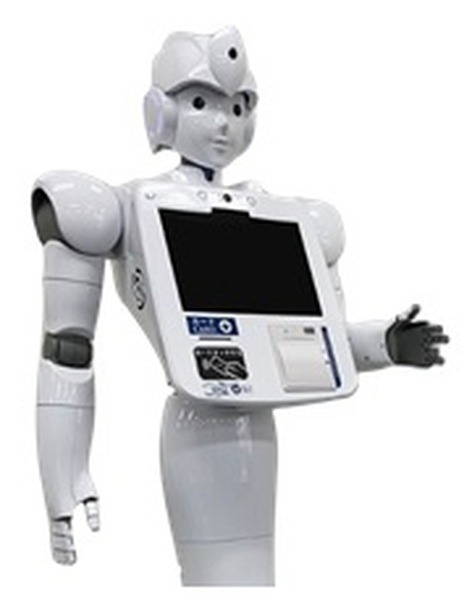 横浜市 金沢区総合庁舎でAIロボットの実証実験 「AYUDA」と「MíraMe」が案内業務を担う