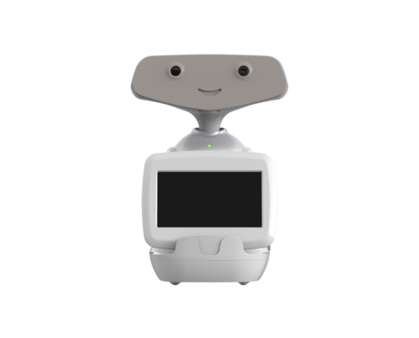 横浜市 金沢区総合庁舎でAIロボットの実証実験 「AYUDA」と「MíraMe」が案内業務を担う