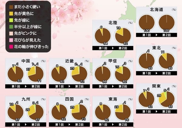 来週末には東京・福岡から桜開花スタート？「桜開花予想」をウェザーニュースアプリ「さくら Ch.」で公開中
