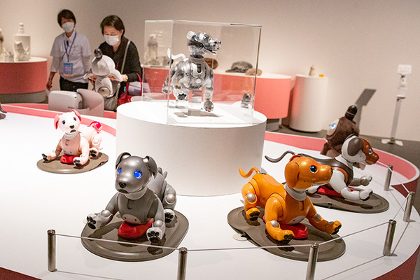 特別展「きみとロボット ニンゲンッテ、ナンダ?」約90種130点のロボットが集結　aiboからQuizKnockにアンバサダー任命証を授与　日本科学未来館