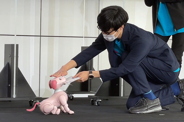 特別展「きみとロボット ニンゲンッテ、ナンダ?」約90種130点のロボットが集結　aiboからQuizKnockにアンバサダー任命証を授与　日本科学未来館
