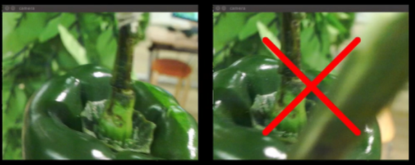 AGRIST ピーマン自動収穫ロボット「L」の最新モデルを発表 2022年秋からレンタルサービスを開始