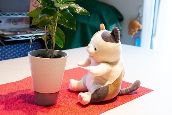 話題の「甘噛みハムハム」実機レビュー！世界初の甘噛みハムゴリズム搭載のハムリングシステムで数10種の甘噛みパターンを実現