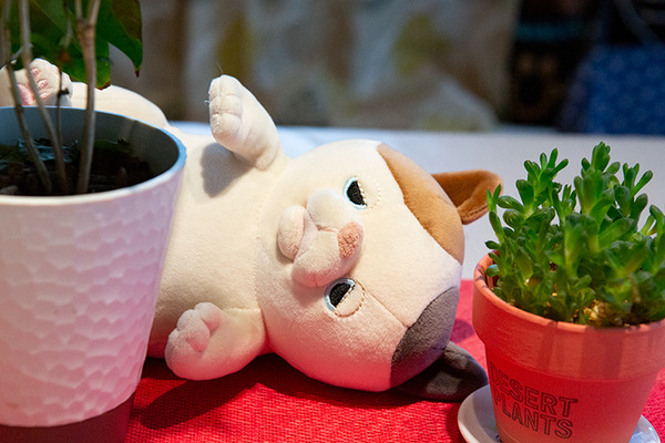 話題の「甘噛みハムハム」実機レビュー！世界初の甘噛みハムゴリズム搭載のハムリングシステムで数10種の甘噛みパターンを実現