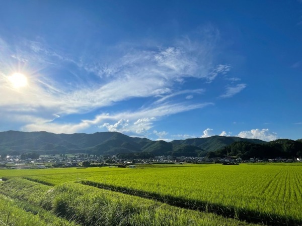 水田を走り回ってお米作りの重労働を削減 長野県発のアイガモロボ「ミズニゴール」実証実験、レンタル提供の予約を受付開始