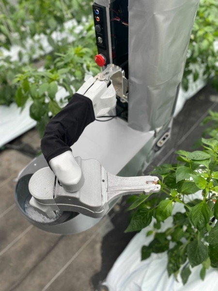 AGRISTのピーマン自動収穫ロボット「L」にNVIDIA「Jetson Nano」搭載　機械学習モデルと「TensorRT」SDKで高精度に検出