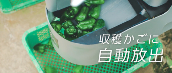 AGRISTのピーマン自動収穫ロボット「L」にNVIDIA「Jetson Nano」搭載　機械学習モデルと「TensorRT」SDKで高精度に検出