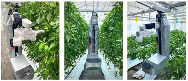 AGRISTのピーマン自動収穫ロボット「L」にNVIDIA「Jetson Nano」搭載　機械学習モデルと「TensorRT」SDKで高精度に検出