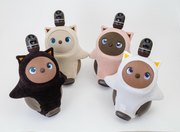 ねこみみ姿の『LOVOT』がお出迎え！ 「ペットプラス ららぽーと福岡店」に『LOVOT』コーナーが誕生 対談動画も公開