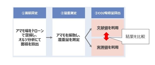 NTTデータが海そうのCO2吸収量を算定する実証事業　天草のアマモ場で「ブルーカーボン」ドローン空撮画像で分析