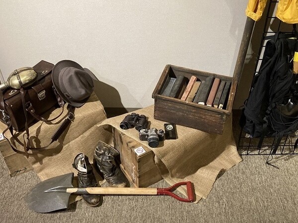 「ジュラシック大恐竜展inよみうりランド」5月下旬まで開催延長！暗闇で恐竜世界を探検できるナイトミュージアムも開催