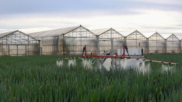 出資賞金総額1,000万円！埼玉県深谷市が「農業課題を解決するアグリテック企業と技術提案」を募集開始