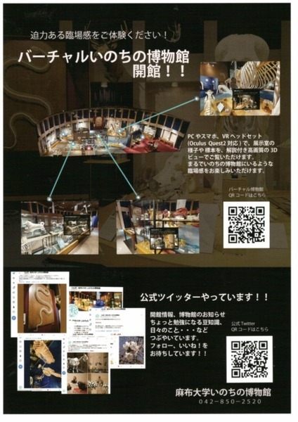 迫力のある動物の骨格展示を学べる・楽しめる 『バーチャルいのちの博物館』 麻布大学が公開