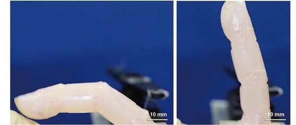 世界初！東大大学院の研究グループが生きた皮膚で覆われた「修復能をもつ培養皮膚付きロボット」の開発に成功