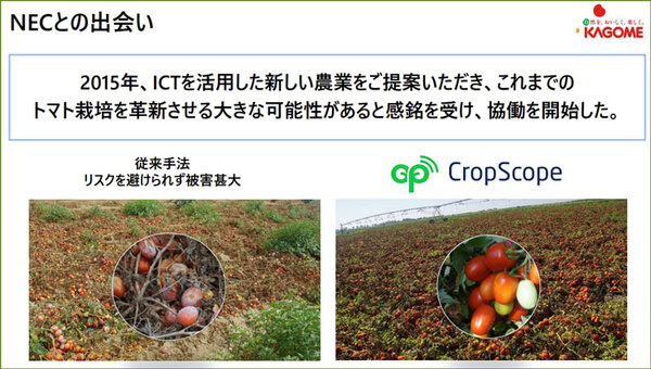 カゴメとNEC、デジタルツインとスマート農業の合弁会社を設立　天気情報/IoT/衛星/AIを活用して加工用トマト農業を営農支援