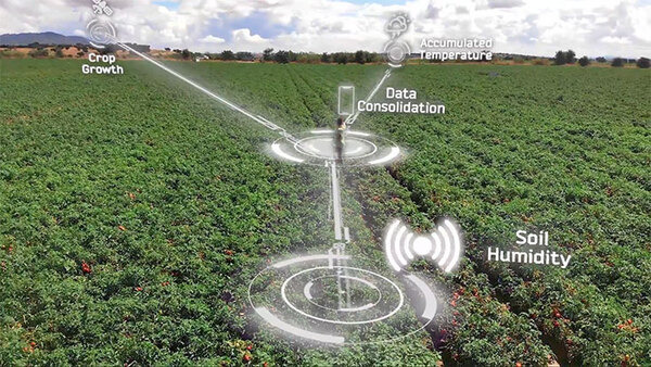 カゴメとNEC、デジタルツインとスマート農業の合弁会社を設立　天気情報/IoT/衛星/AIを活用して加工用トマト農業を営農支援