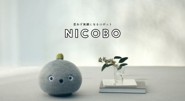 オナラもするし寝言も言う“弱いロボット”「NICOBO」出荷開始！パナソニックがアプリや公式ウェブを公開