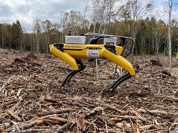 電動四足歩行ロボット「Spot」が林業の作業を担えるか？スマート林業の実現に向けた実証実験 下川町、つくば市で実施