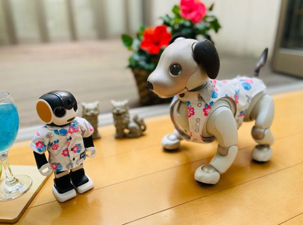 沖縄を感じる「RoBoHoN」(ロボホン)公式「かりゆしウェア」数量限定販売開始　特別なイベントやダンス連携機能も　ロボユニ