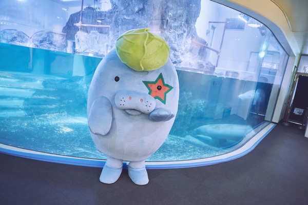 avatarinの「夏休み特別企画アバター体験！」今年も開催  新たな体験プラン「森永卓郎 ミニカーコレクション展」が追加