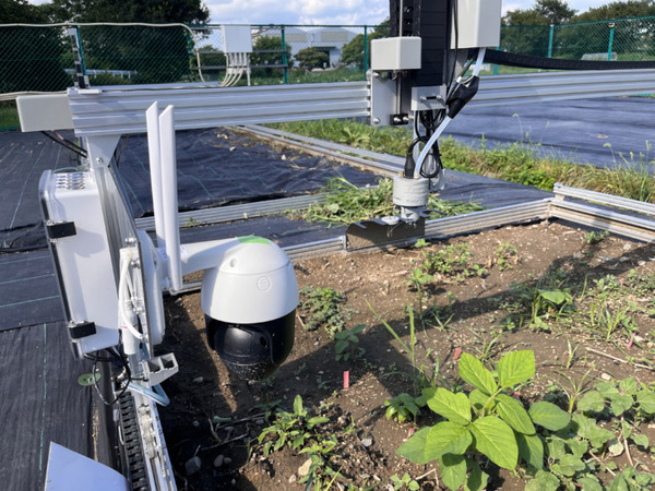 スマート農業を親子で学ぶ「アグリテック体験プログラム」兵庫県姫路市で実施 収穫した野菜は持ち帰り可能