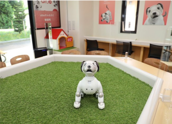 aiboのふるさと「幸田町」を巡るツーリズム開発 観光庁の実証調査に採択 11月中旬からの開始を予定