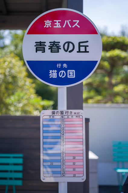 写真で見るジブリパーク【2】どんどこ森、地球屋、ジブリの大倉庫「オリヲン座」、3つの企画展示を紹介
