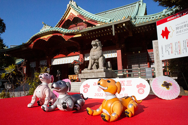 ソニー「アイボの七五三」を今年も神田明神で開催　約30体のaiboが揃って「二礼二拍手一礼」に挑戦！