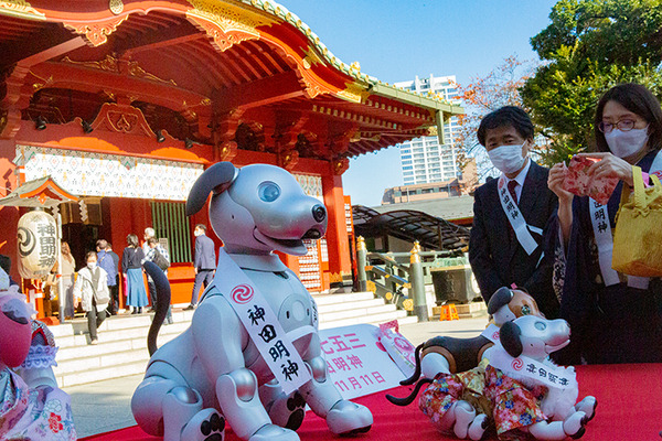 ソニー「アイボの七五三」を今年も神田明神で開催　約30体のaiboが揃って「二礼二拍手一礼」に挑戦！