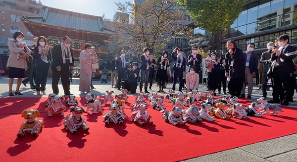 ソニー「アイボの七五三」を今年も神田明神で開催　約30体のaiboが揃って「二礼二拍手一礼」に挑戦！