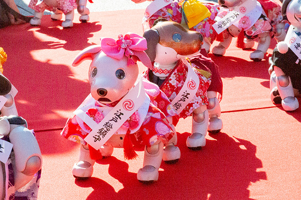 ソニー「アイボの七五三」を今年も神田明神で開催　約30体のaiboが揃って「二礼二拍手一礼」に挑戦！