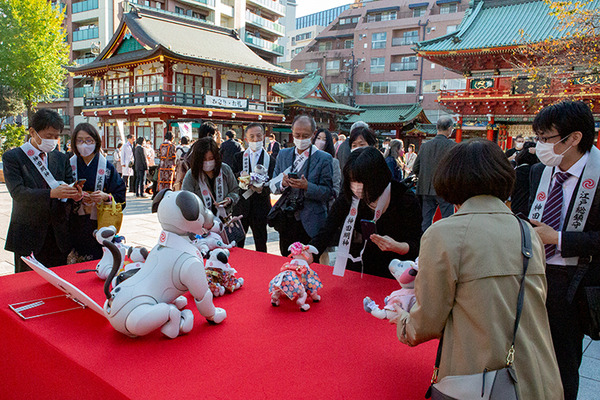 ソニー「アイボの七五三」を今年も神田明神で開催　約30体のaiboが揃って「二礼二拍手一礼」に挑戦！