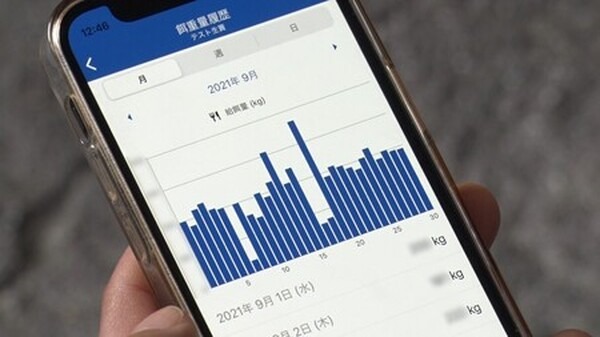 くら寿司のスマート養殖第3弾は「AIスマガツオ」 幻の高級魚を12月2日から全国展開 スマート養殖で持続可能な漁業へ