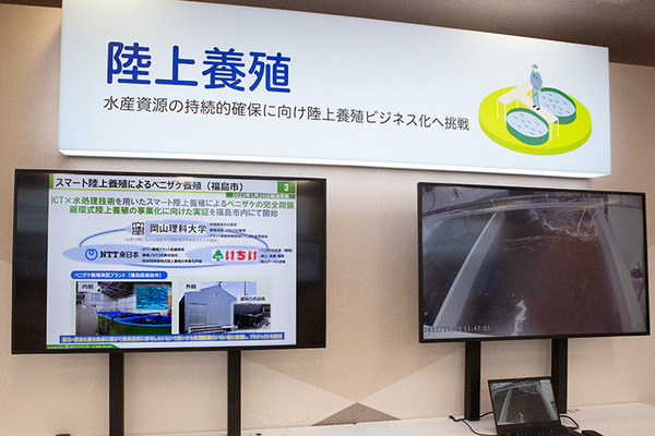 NTT東日本の新規事業と新技術を一挙公開「NTTe-City Labo」見学ツアー・レポート　ローカル5G/自動運転/ドローン/無人店舗/eスポーツetc