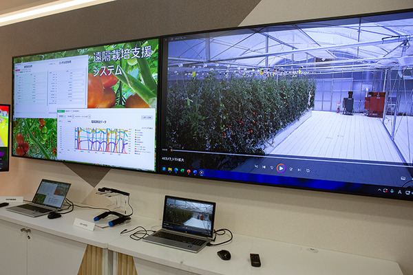 NTT東日本の新規事業と新技術を一挙公開「NTTe-City Labo」見学ツアー・レポート　ローカル5G/自動運転/ドローン/無人店舗/eスポーツetc