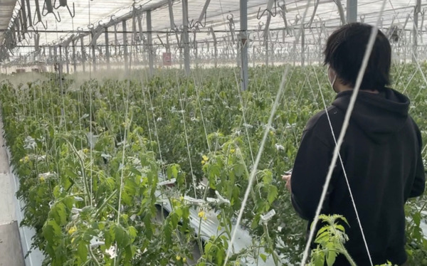 農薬散布ロボット「Dr.FARBOT」販売開始 病害虫診断、圃場データ管理など順次実装予定